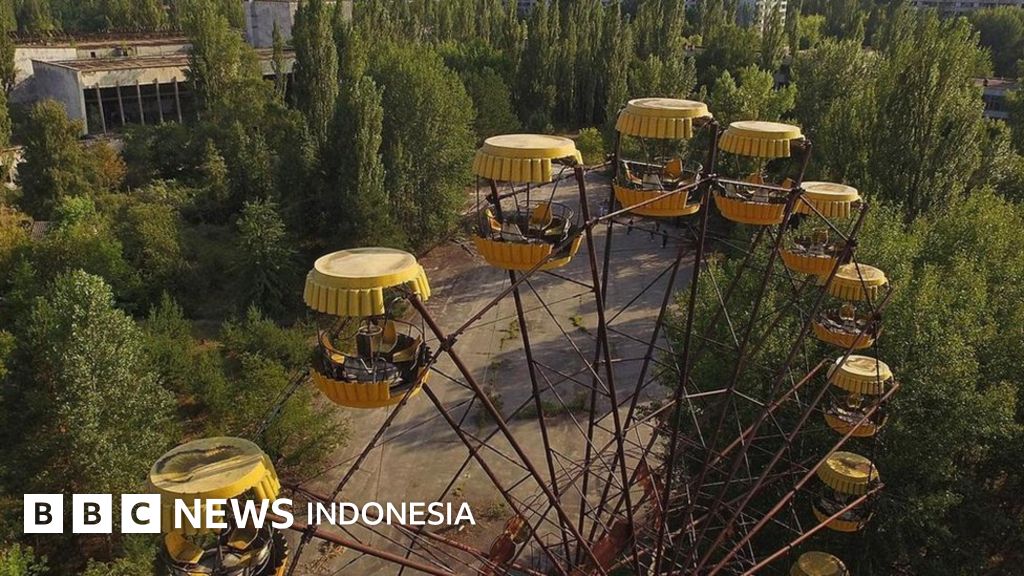 Bencana Chernobyl Mengapa Tumbuhan Kebal Terhadap Radiasi Nuklir