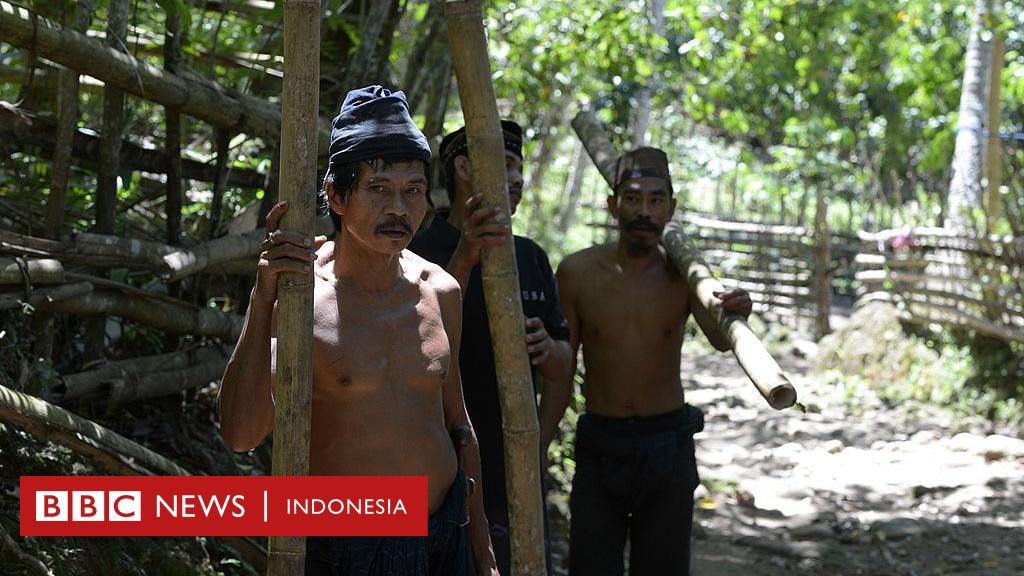 Mengapa rencana pembukaan 20 juta hektare hutan untuk lahan pangan disebut menguntungkan korporasi dan merugikan warga? - Kesaksian Orang Rimba yang tersisih dari hutan leluhur