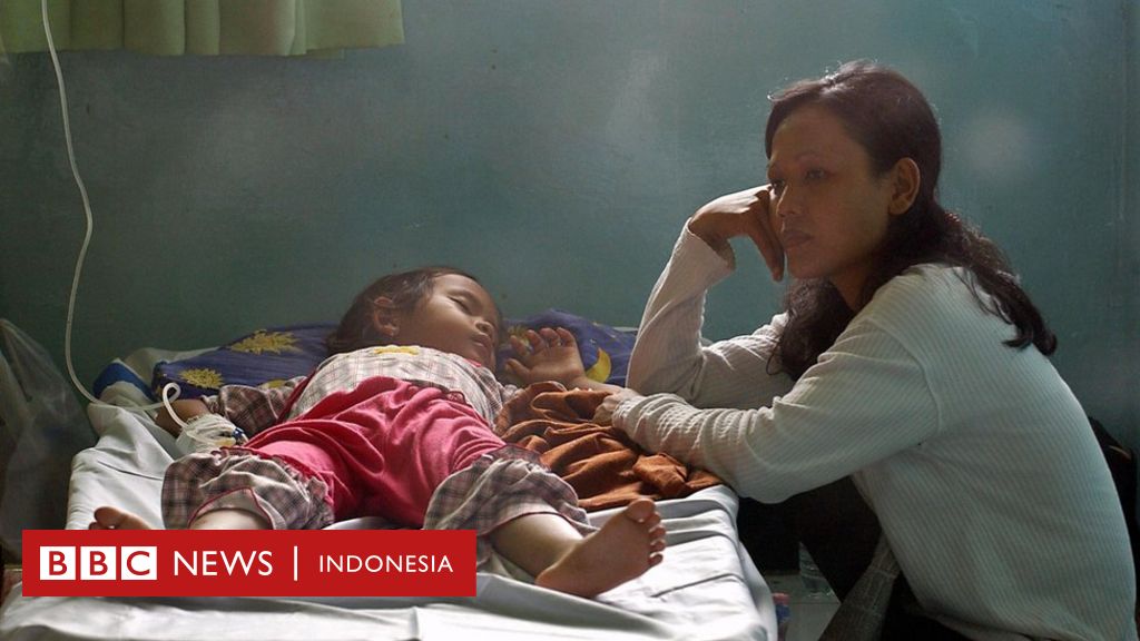 Dengue Fever Mewabah Pencegahan Dengan Jaga Kebersihan Dan Tanam