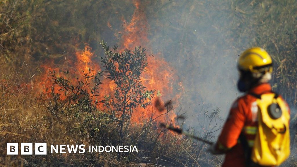 Kebakaran Amazon Rumah Kita Sedang Terbakar Kata Presiden