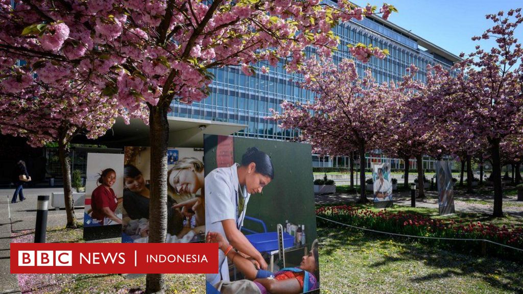 Apa itu WHO dan apa yang mereka lakukan? - BBC News Indonesia