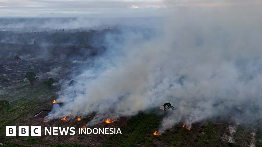 Kebakaran hutan dan lahan di Nagan Raya Aceh 'meluas hingga 