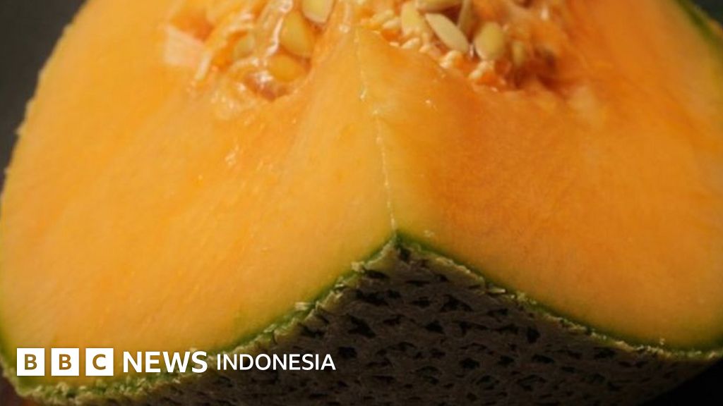 Tiga orang tewas di Australia akibat penyebaran bakteri listeria dari