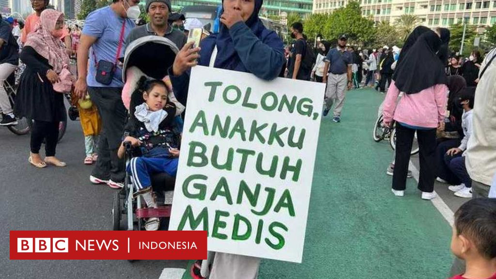 Legalisasi Ganja Untuk Keperluan Medis Ditolak MK - BBC News Indonesia