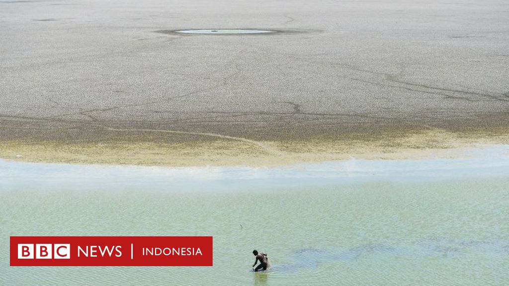 Sekitar 17 Miliar Orang Di 17 Negara Terancam Kekeringan