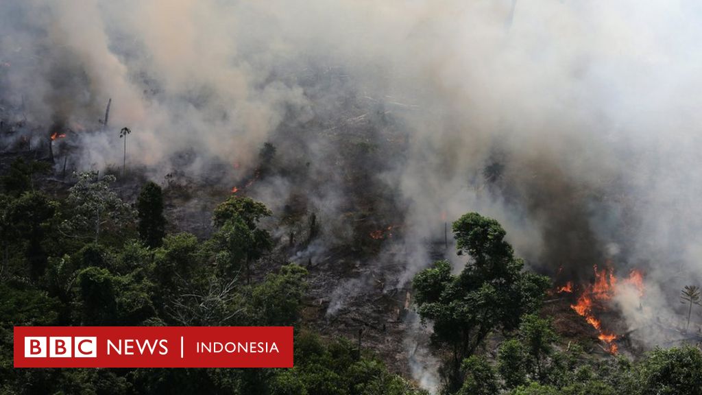 Kebakaran Hutan Di Amazon Mencapai Rekor Kata Badan Antariksa Brasil Bbc News Indonesia