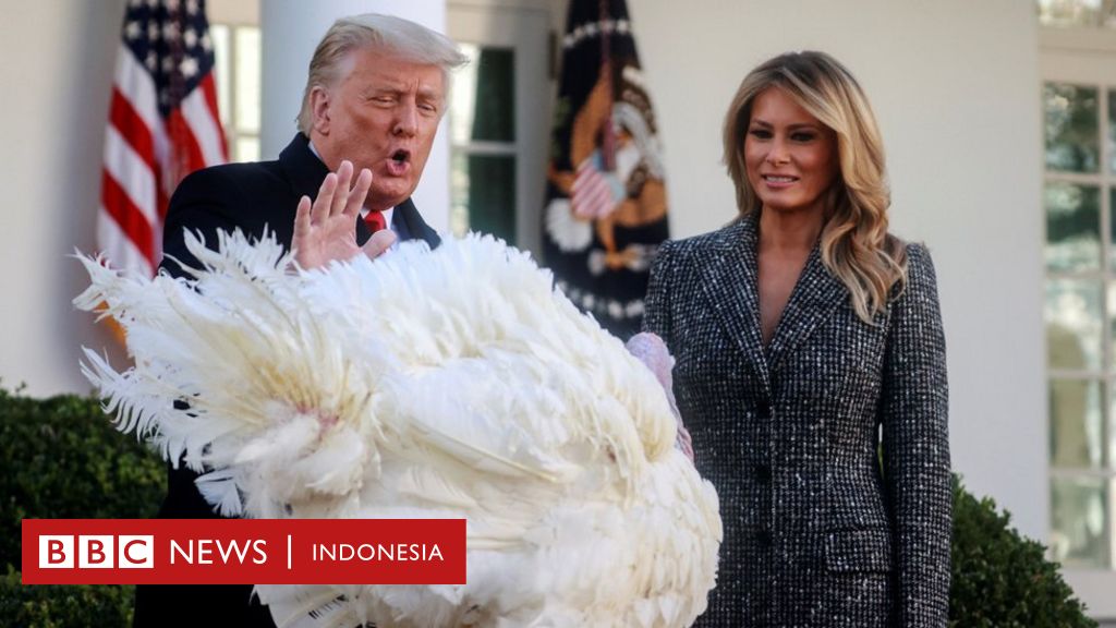 Trump, Pernyataan Dan Berbagai Ekspresinya Pada Hari-hari Usai Pilpres ...