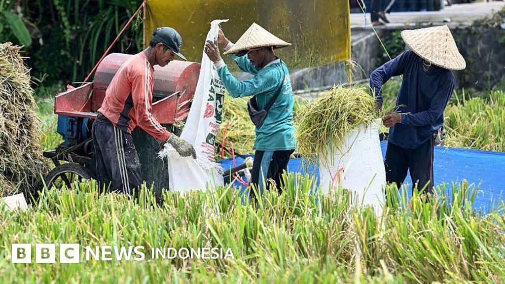 Petani terjepit tekanan rupiah melemah dan ancaman El Nino – 'Harga-harga naik, terancam gagal panen'