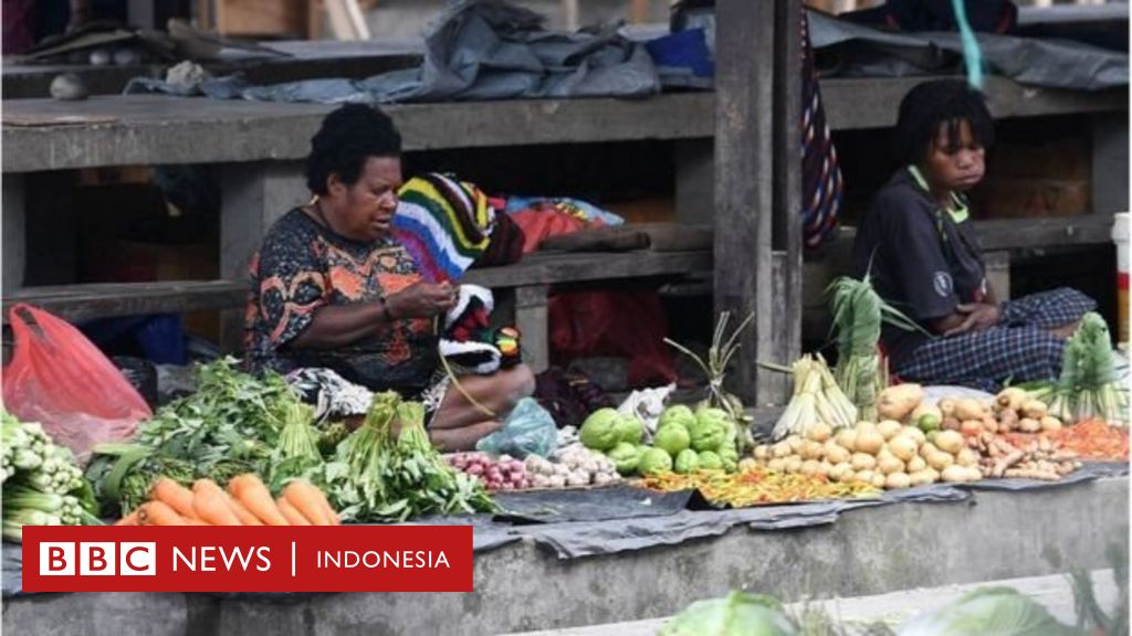 Papua: Pemekaran wilayah 'tak libatkan warga asli', diklaim demi kesejahteraan warga lokal - BBC Indonesia