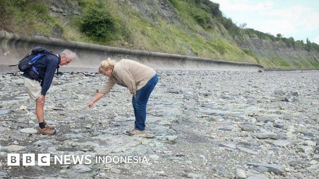 'Jejak kaki dinosaurus' banyak ditemukan di sebuah pantai