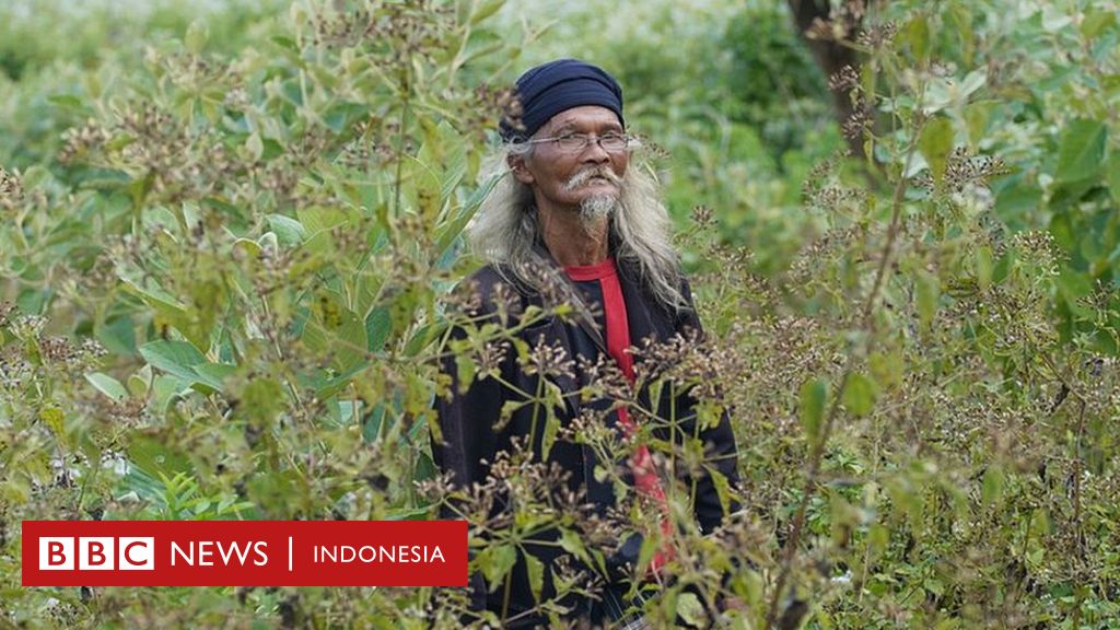 Фамилия ганжа происхождение. Ганжа Мария Ивановна. Ганжа Ольга Григорьевна. Ганжа Сергей Николаевич.