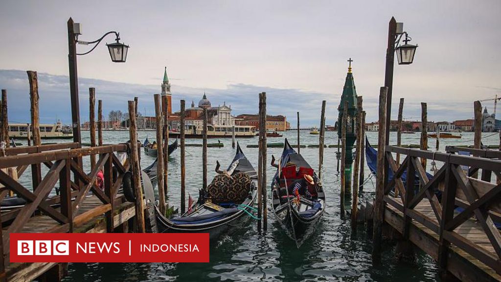 Rahasia 'hutan terbalik' yang membuat Venesia bertahan selama 16 abad