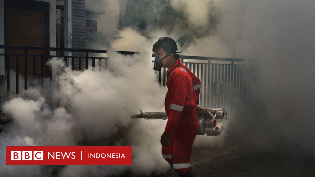 DBD: Puluhan Orang Meninggal Akibat Demam Berdarah Di NTT, 'pemerintah ...