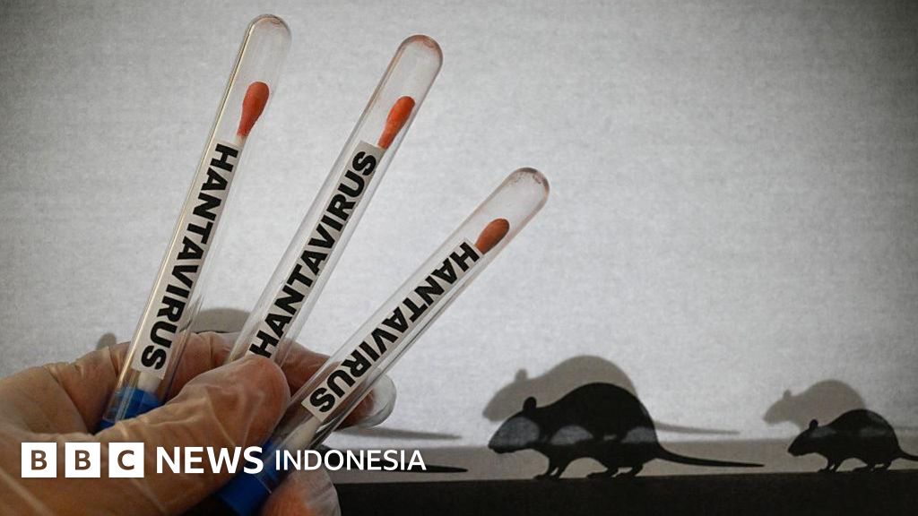 Kasus hantavirus terdeteksi di Indonesia, seberapa berbahaya?