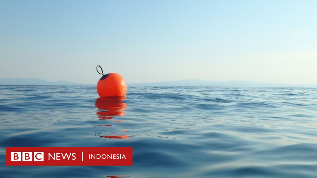 Bertahan Hidup Jam Di Laut Berkat Sampah Bola Apung Setelah Jatuh