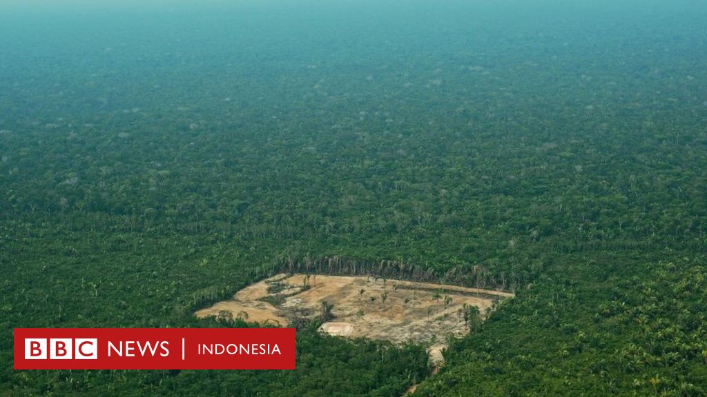 Deforestasi Hutan Di Brasil Mencapai Titik Terparah Dalam Satu Dekade Terakhir Bbc News Indonesia