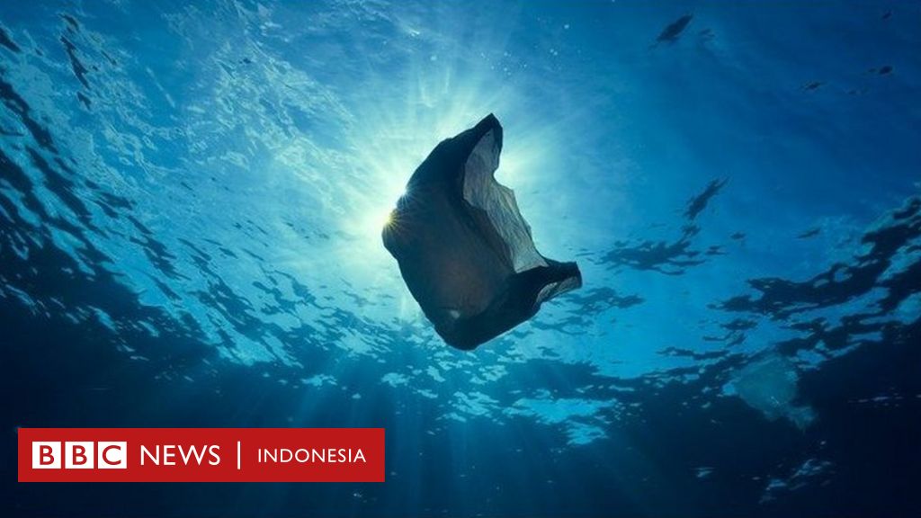 Mengapa hewan  laut  tidak bisa berhenti makan plastik 