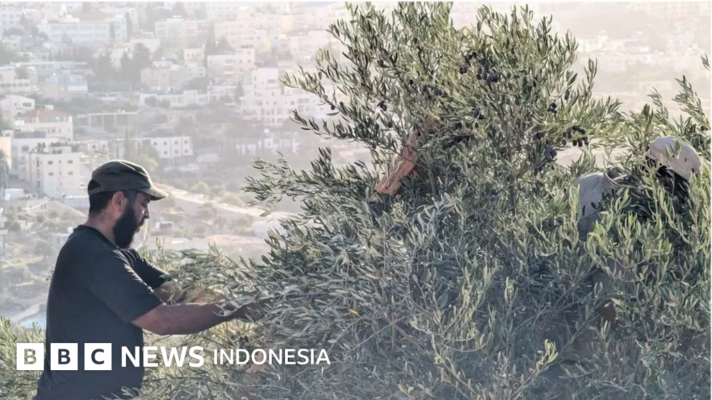 Kisah komunitas Yahudi dan Palestina yang terbelah di tengah pendudukan