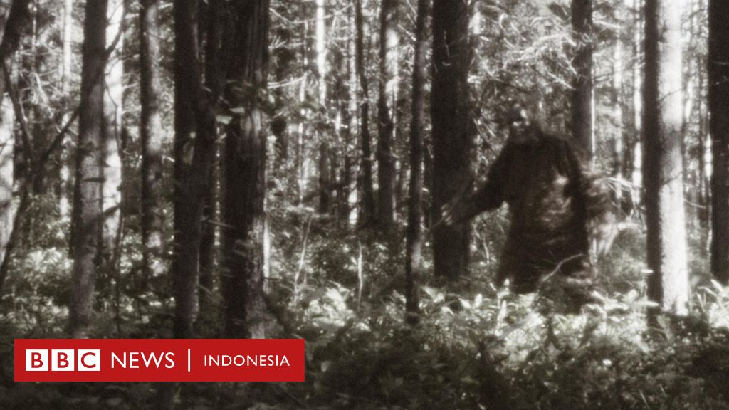 Bigfoot Apakah Makhluk Ini Benar Benar Ada Bbc News Indonesia 