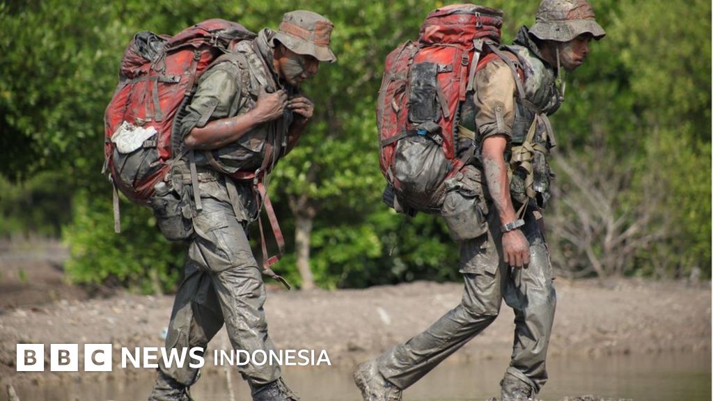 Sperma bilan qoplangan mushukning bir qismi