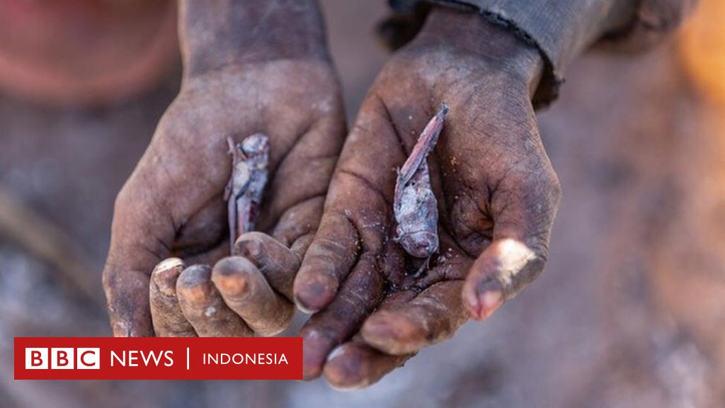 Dampak Perubahan Iklim Ribuan Warga Madagaskar Yang Kelaparan Makan