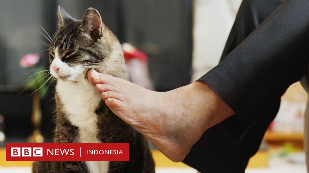 Ada miliaran bakteri di kaki, bagaimana cara mencuci kaki yang baik dan benar?