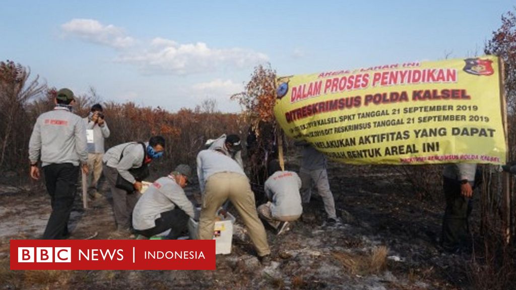 Kebakaran Hutan: Empat Perusahaan Asing Berstatus Tersangka Dan 'ganti ...