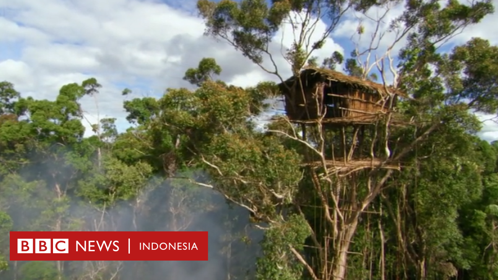 BBC akui rumah  di atas pohon orang Korowai di Papua itu 