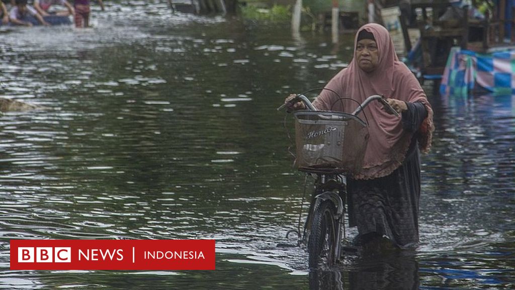 Banjir Di Kalsel Dipicu Berkurangnya Area Hutan Primer Dan Sekunder Klhk Penurunan Area Hutan Di Das Barito 62 8 Bbc News Indonesia