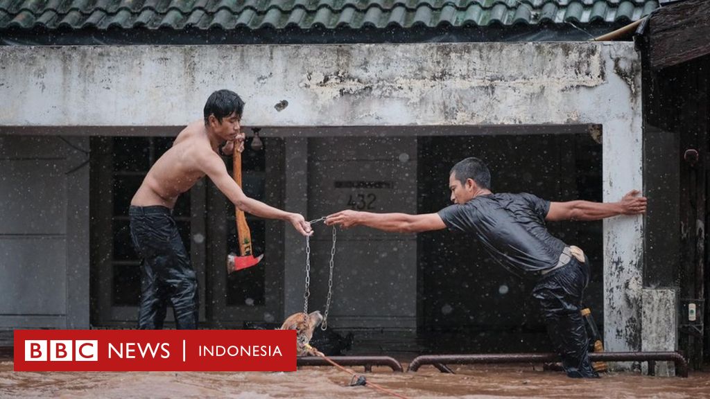 Banjir Jakarta Dan Sekitarnya Penyelamatan Hewan Hewan Peliharaan
