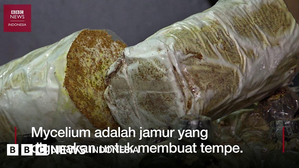 Bagaimana Cara Mengatasi Limbah