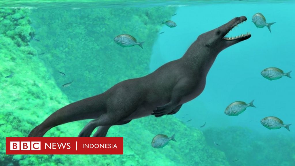 Fosil Paus Purba Berkaki Empat Ditemukan Di Peru Bbc News Indonesia