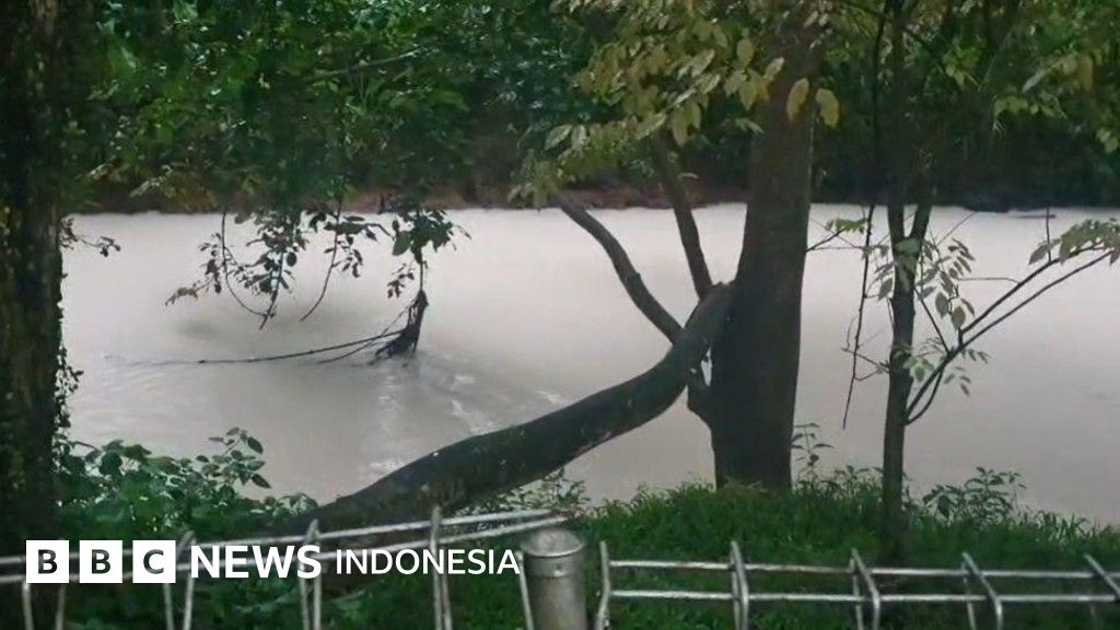 Sungai Cisadane tercemar hingga puluhan kilometer, air menjadi putih dan ikan mati – Bagaimana mengatasinya?