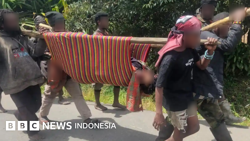 Kisah perempuan lansia lumpuh dan anak 12 tahun yang tewas ditembak di Kabupaten Dogiyai, Papua – 'Aparat menembak secara membabi buta'