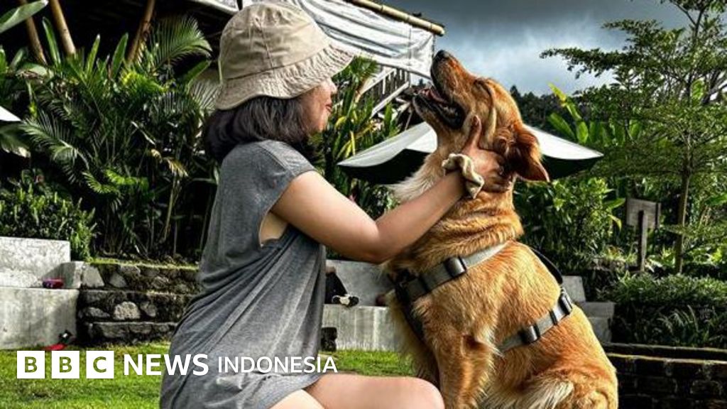 Kecintaan pada anjing peliharaan mendorong roda bisnis di Bali