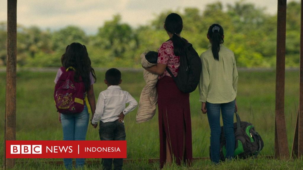 Kisah empat bocah bertahan hidup 40 hari di Hutan Amazon setelah pesawat jatuh