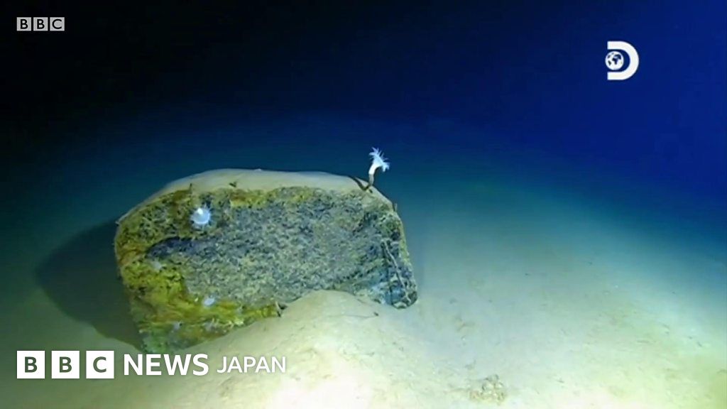 海洋最深のマリアナ海溝で新種のウイルスが発見される