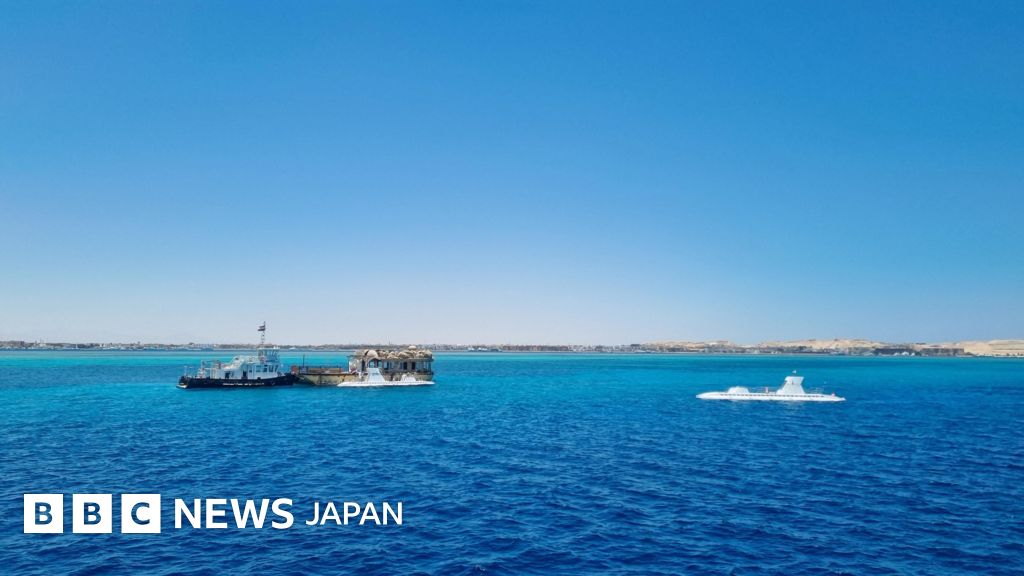 観光用の潜水艇が沈没、乗客6人死亡 エジプト沖の紅海 - BBCニュース