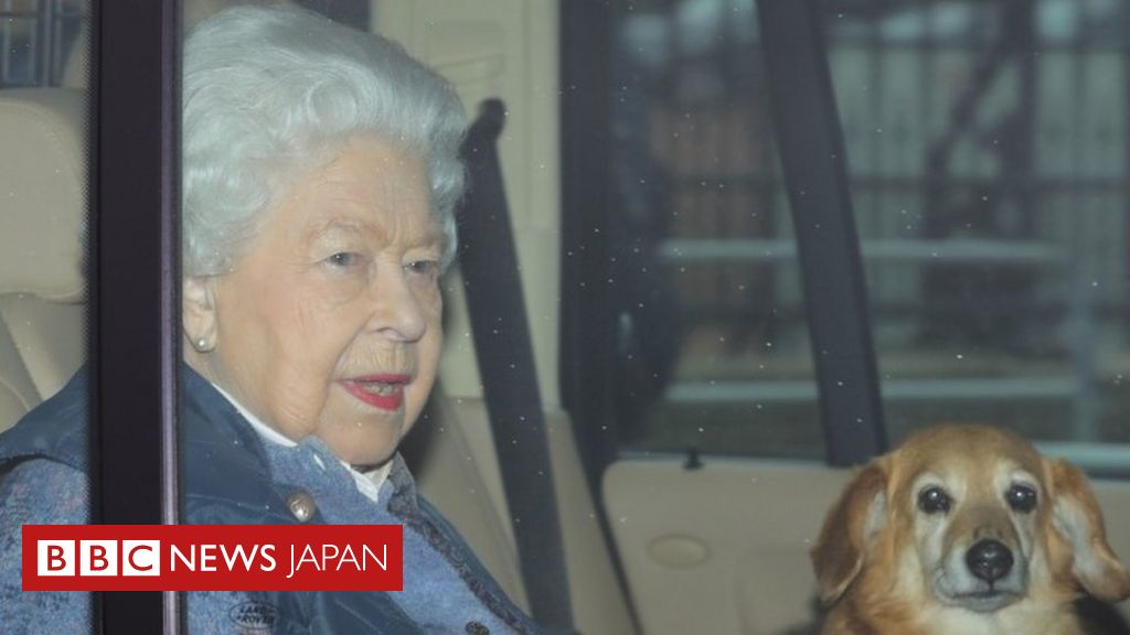 エリザベス英女王 一丸となって 市民に感染対策呼びかけ cニュース