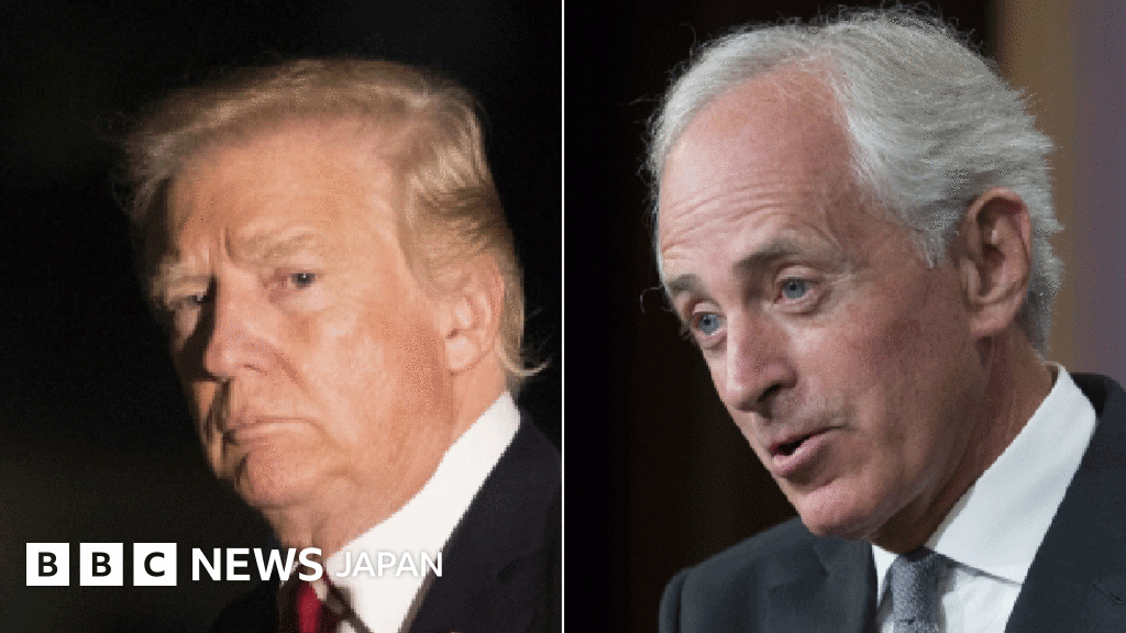 米共和党重鎮 トランプ氏は米を 第3次世界大戦への道に cニュース 米共和党重鎮 トランプ氏は米を 第3次世界大戦への道に cニュース