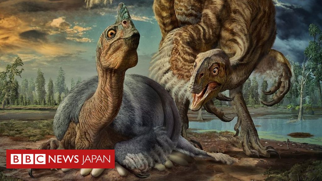 恐竜の子育て 卵をつぶさないための工夫が明らかに cニュース