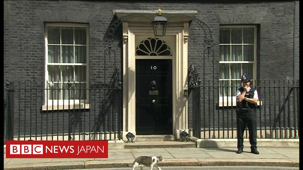 英首相官邸の猫ラリーは残留 cニュース