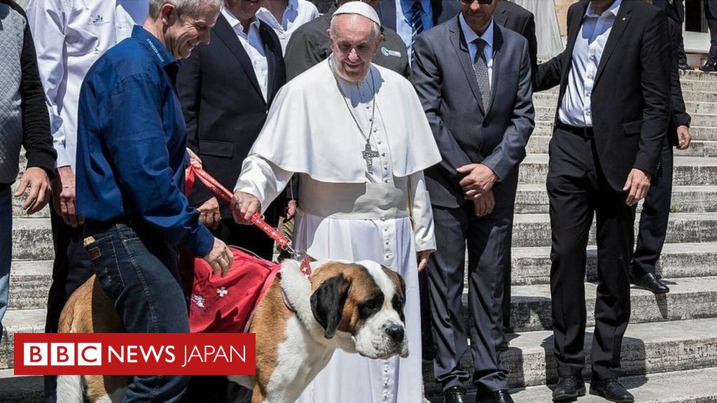 ペット オファー 子供 代わり