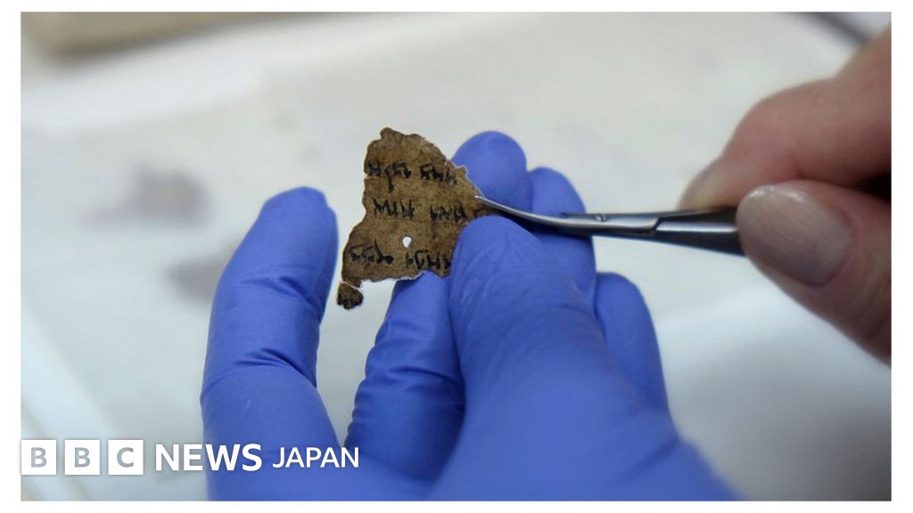 死海文書、米博物館の断片は「すべて偽造」 - BBCニュース