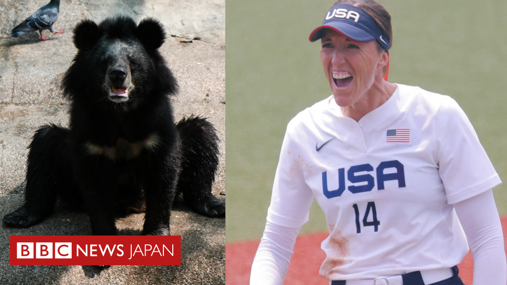 東京五輪 ソフトボール 米チームが気にするのは クマ 日本は2連勝 cニュース