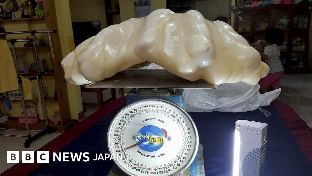 フィリピンで発見の真珠、「世界最大」か - BBCニュース