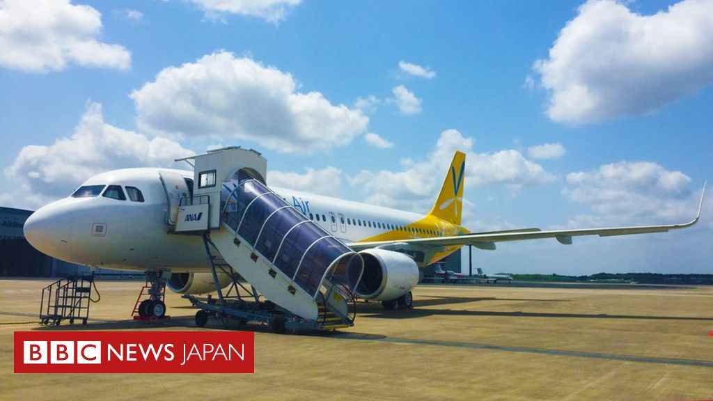 日本の航空会社 車いすの男性を自力で搭乗させる cニュース