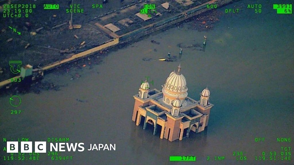 空から見る】 インドネシア津波の被災と生存 - BBCニュース