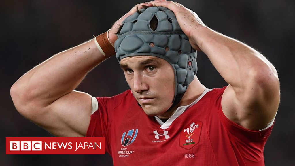 ラグビーW杯】 南アフリカが決勝へ 3点差でウェールズに勝利