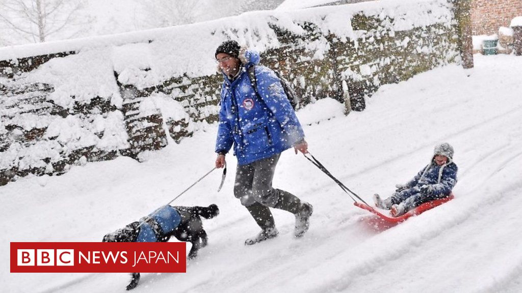 欧州寒波で英国にも雪 人も犬も馬も喜び cニュース